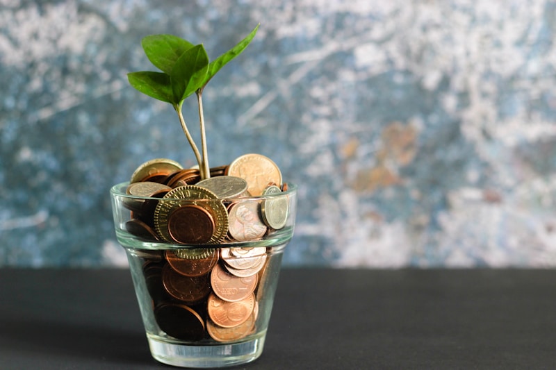 Payment Management Made Easy: Automating Club Finances